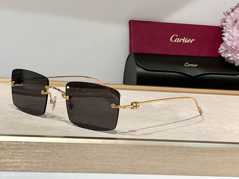 Cartier Sunglasses 110